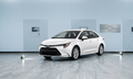 Toyota corollas 2024